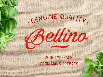 Bellino branding design graphic design illustration illustrator logo minimal typography ux vector