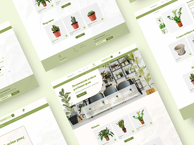 Home Plants Online-Shop flowers online shop plantshop uidesign uxdesign webdesign интернет магазин растения цветы