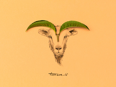 sheep animail creative drawing horn illustration leaves painting photography sheep still life yellow