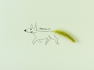 Foxtail animal creative dog drawing foxtail green illustration painting photography still life