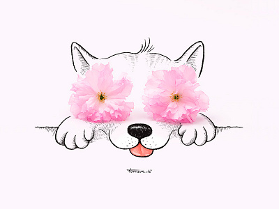 dog animal cherry blossoms creative cute dog drawing eyes flower illustration painting photography pink still life