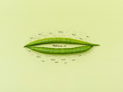 fish animal beans creative drawing fish green illustration lake painting photography still life