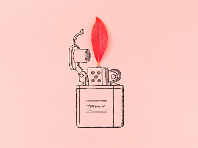 lighter creative drawing fire illustration leaves lighter painting photography red still life