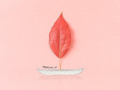 boat boat creative drawing illustration leaves painting photography still life