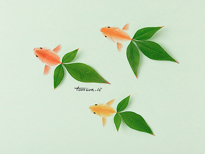 goldfish animal creative drawing goldfish green illustration leaf painting photography still life tomson.li