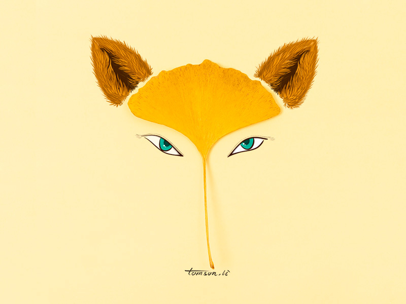 fox eye yellow ginkgo leaves animal still life photography creative illustration painting drawing fox