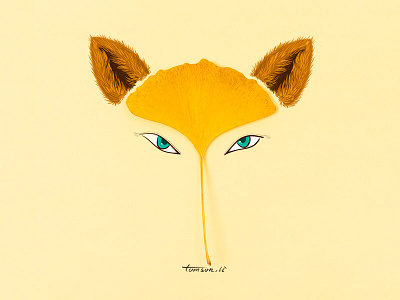 fox animal creative drawing eye fox ginkgo leaves illustration painting photography still life yellow
