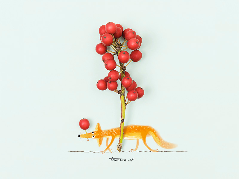 Foraging seed wild fruit animal fox still life photography creative illustration painting drawing foraging