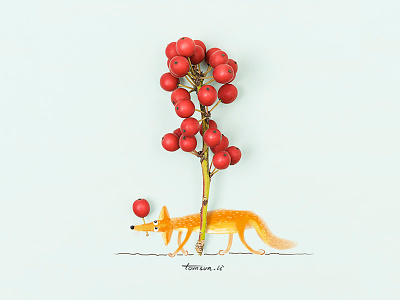 Foraging animal creative drawing foraging fox illustration painting photography seed still life wild fruit