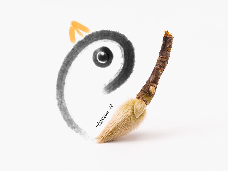 Painted bird branch tomson.li animal still life photography creative illustration painting drawing bird