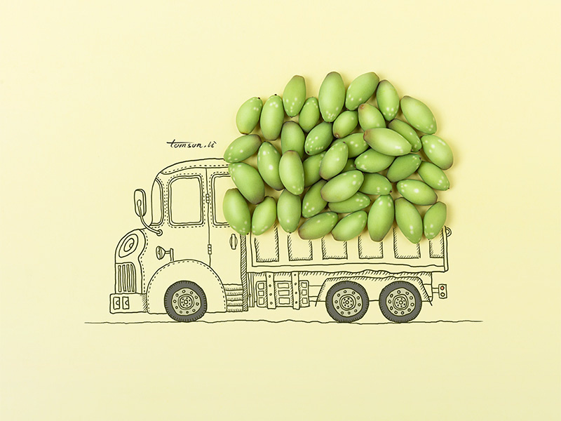 Harvest tomson.li truck seed still life photography creative illustration painting drawing harvest