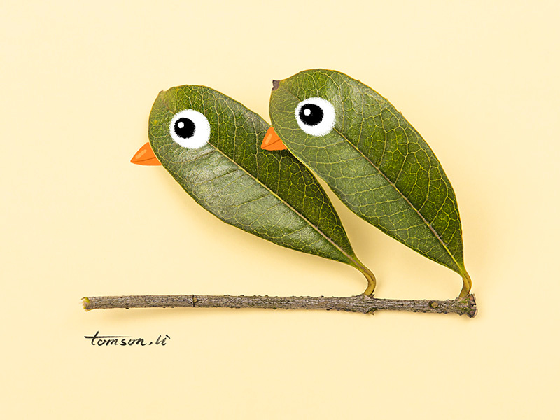 birds tomson.li love leaves animals still life photography creative illustration painting drawing birds