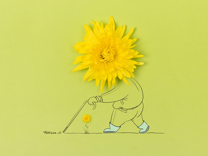 菊长 tomsonli man yellow chrysanthemum flower still life photography creative illustration painting drawing