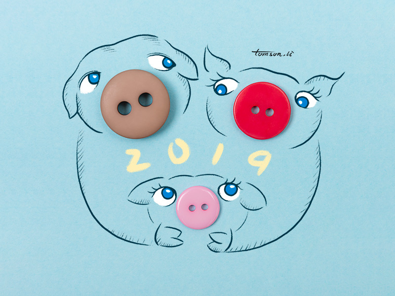 2019 tomson.li family animals button 2019 pigs still life photography creative illustration painting drawing