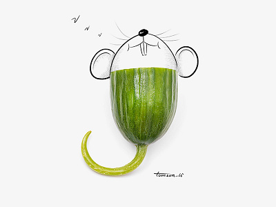 sleep creative cucumber drawing illustration mouse painting photography sleep still life vegetables