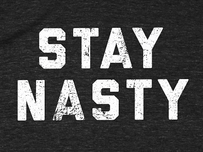 Stay Nasty cotton bureau stay nasty t shirt tee