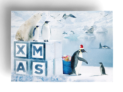 Holiday Christmas Card card christmas fish gifts holiday ice penquin presents snow xmas