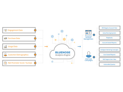 Bluenose Products Overview analytics bluenose engine graphic illustration infographic process vector