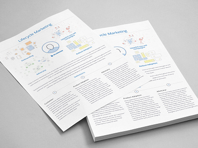 Bluenose Lifecycle Marketing flyer icons illustration infographics layout marketing print