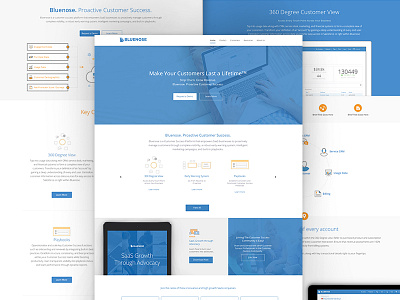 Bluenose Site blue clean homepage iconography infographics simple site ui update ux web design website