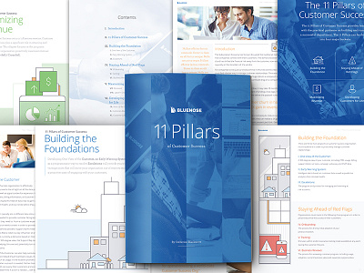 Bluenose 11 Pillars of Customer Success book digital ebook icons iconset illustrations infographics layouts multipage photography print