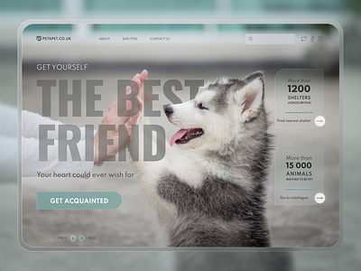 A Dog Shelter website concept