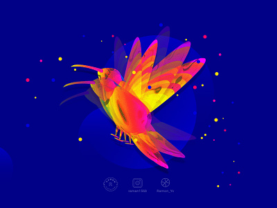 Humming Bird bright color humming bird icon illustration