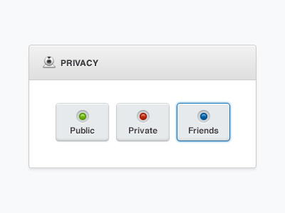 Privacy button interface privacy ui user interface web web app web cam website