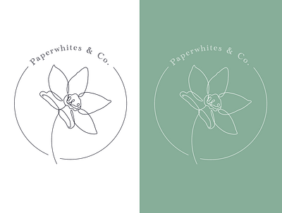 Paperwhite flower shop logo design flat illustration logo minimal narcissus