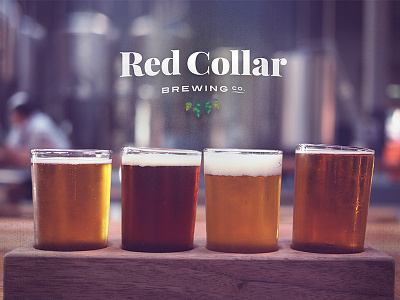 Red Collar Brewing Co beer logo