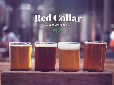 Red Collar Brewing Co