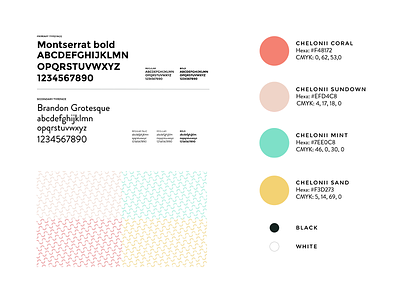 Brand Identity for Chelonii brand guidelines brand identity colors pattern typeface