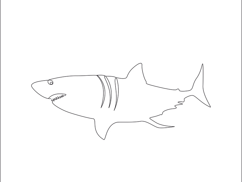 Shark Line Art Tattoo designs, themes, templates and downloadable ...