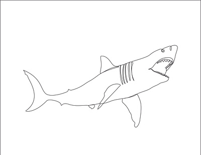 sark one line art color line art continuous line continuous line art fish drawing fish drawing for kids graphic design illustration illustrator design logo minimalist line art one line art one line drawing portrait art shark drawing