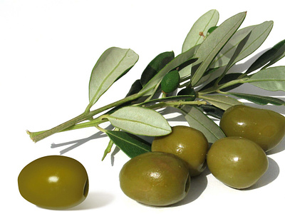 The left olive was made in Photoshop illustration design
