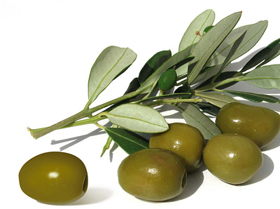 The left olive was made in Photoshop design illustration