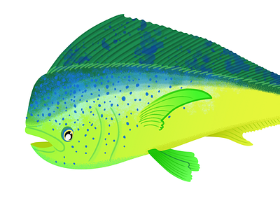 Mahi Mahi