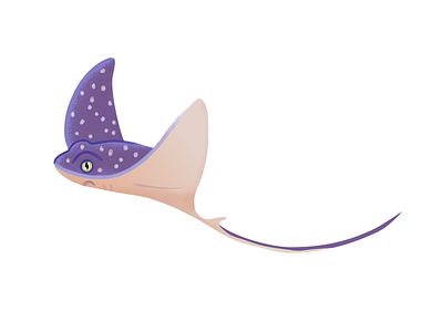 Spotted Eagle Ray eagle ray fish illustration flying fish ocean creatures purple fish sea creature sea illustration sealife stingray stingray art vector fish art