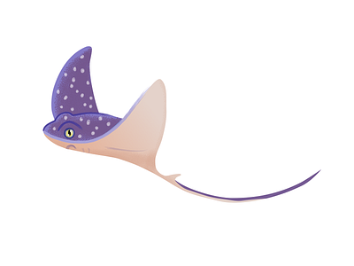 Spotted Eagle Ray