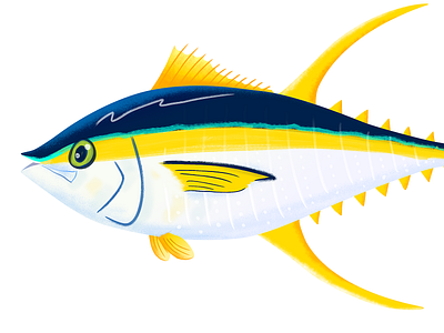 Yellowfin Tuna childrens illustration colorful editorial fish icon illustration sealife tuna vivid