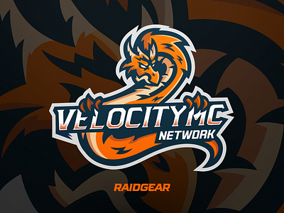 Velocity branding cartoon dragon logo mascot velocity