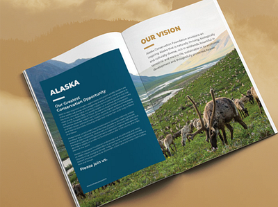 Alaska Conservation Foundation brand guidelines branding design graphic design logo design marketing design typography