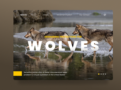 Animal Protections - Web Design