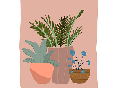 Potted plants animation design graphic design illustration