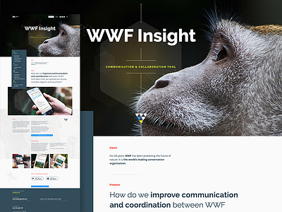 Featured Project v.6 case featured portfolio presentation project study web wwf