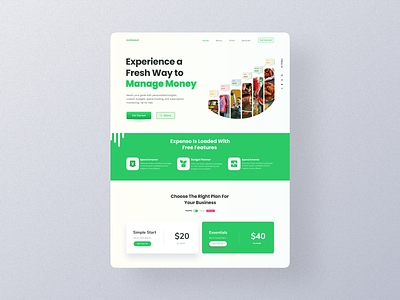 Expense Tracking Landing Page UI design