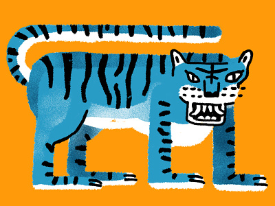 Tiger animal drawing illustration tiger