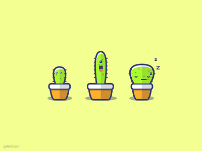 Cacti illustration