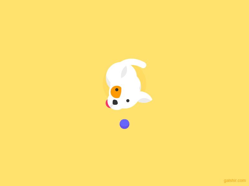This is my dog, Meshi! animation ball character dog gif happy illustration play puppy
