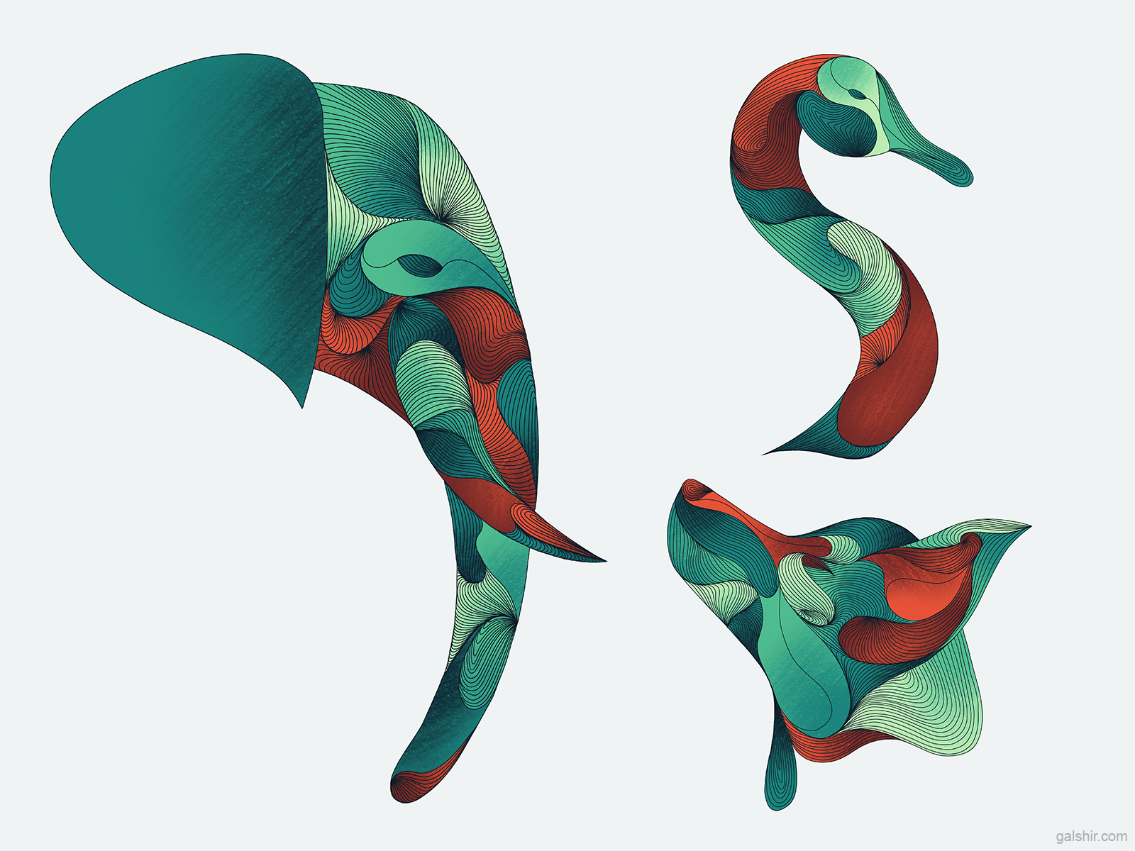 Animals by Gal Shir on Dribbble